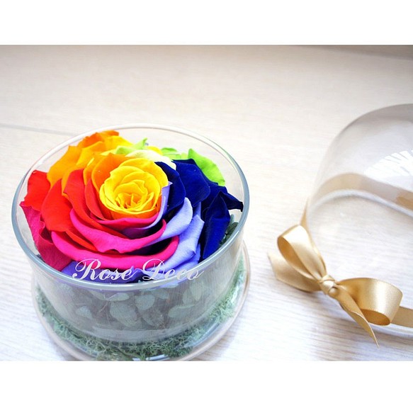 《訂製品》  幸運彩虹   玫瑰不凋花玻璃罩 第1張的照片