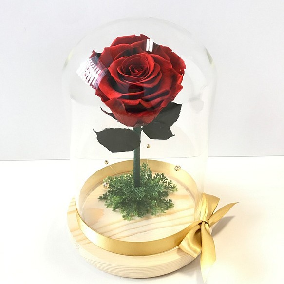 不凋花玫瑰 大型玻璃罩花禮 小王子 美女與野獸類似款 (紅黑色) 第1張的照片