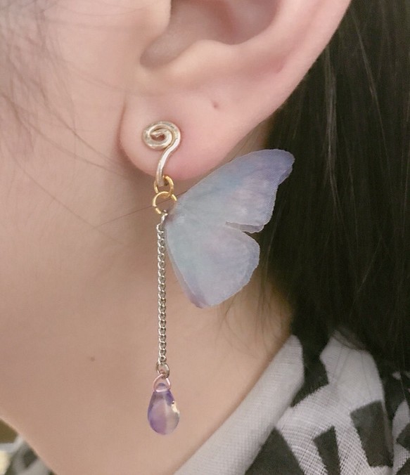 粉藍蝶 耳環 第1張的照片