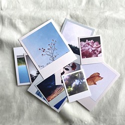 ポラロイドカードセット／Nature【10枚入】 ポストカード pakakose