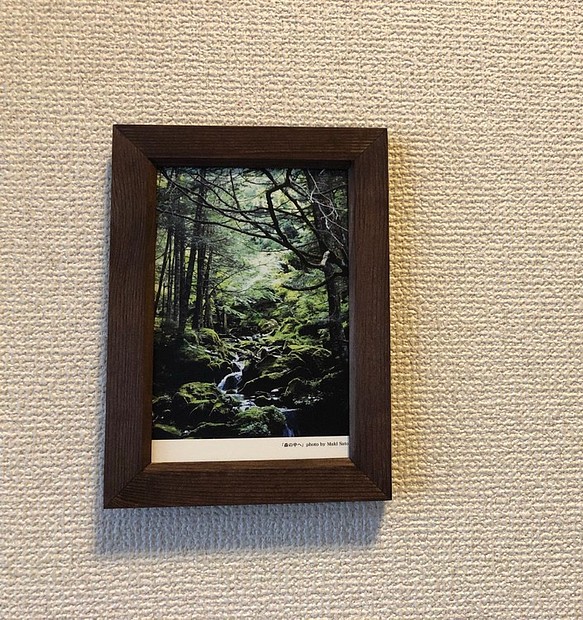 ポストカードをオブジェに！「額入り樹木ポストカード」森の中へ 1枚目の画像