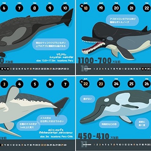 クジラの進化カレンダー エコパック カレンダー たろ 通販 Creema クリーマ ハンドメイド 手作り クラフト作品の販売サイト