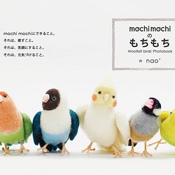 mochi mochi フォトブック 「mochi mochiのもちもち」 1枚目の画像