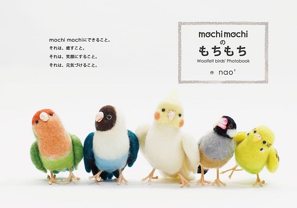 mochi mochi フォトブック 「mochi mochiのもちもち」 1枚目の画像