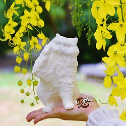 【茵鷹喵】金吉拉貓 1/2th × 雕塑 × 模型擺飾｜ChinchillaCat（未上色 白模） 第1張的照片