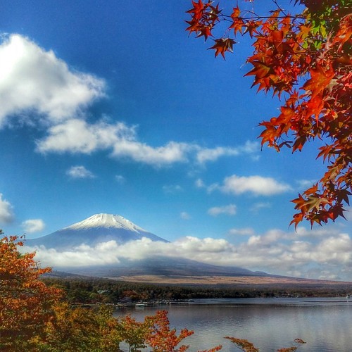 フォトパネル②□阿蘇くじゅう国立公園□A1サイズ□フレーム付 写真