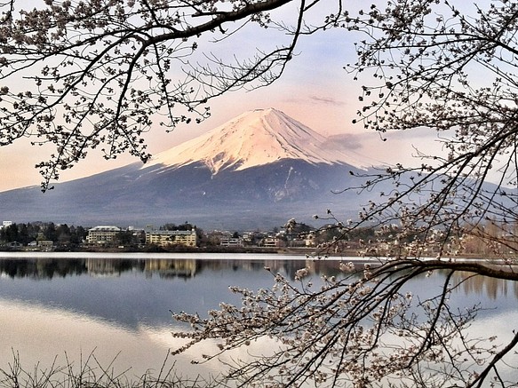 世界遺産 富士山 写真 A4又は2L版 額付き 1枚目の画像