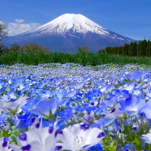 フォトパネル②□阿蘇くじゅう国立公園□A1サイズ□フレーム付 写真