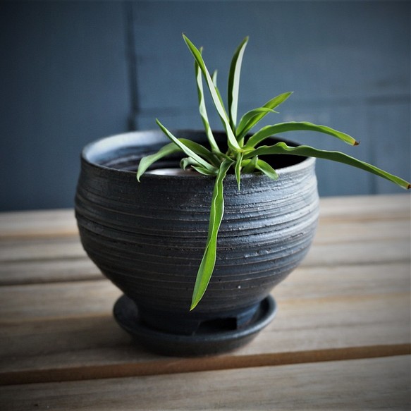 【陶器】マットな黒い植木鉢　受皿付き　送料無料 1枚目の画像
