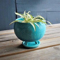 【陶器】トルコ青の植木鉢　送料無料 1枚目の画像