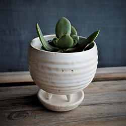 【陶器】白い脚付き植木鉢　⑤　送料無料 1枚目の画像