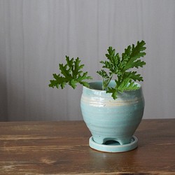 【陶器】均窯釉の水色の植木鉢　送料無料 1枚目の画像