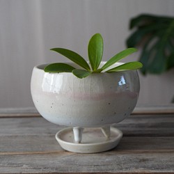 【陶器】ツヨアミセイコ様専用　ほんのりピンクと白の脚付き植木鉢①　　送料無料 1枚目の画像