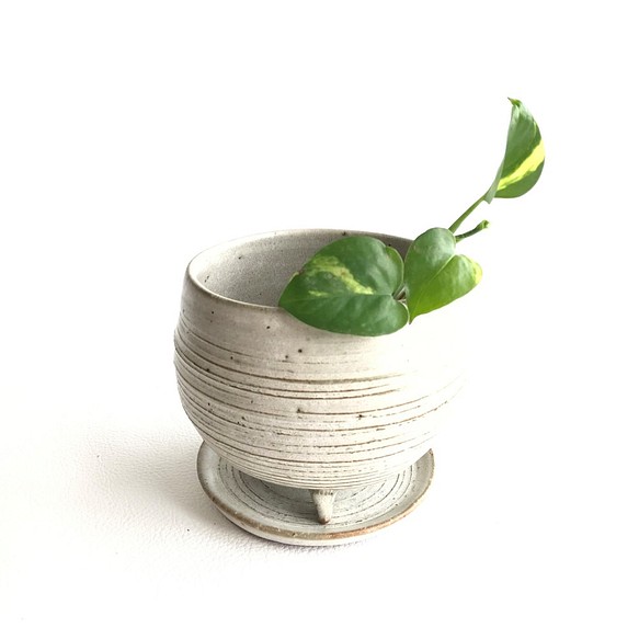 【陶器】白いオーバルの植木鉢 1枚目の画像