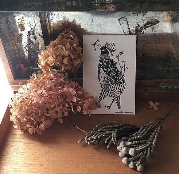 鳥と花ポストカード&封筒セット「ペラペラヨメナ」 1枚目の画像