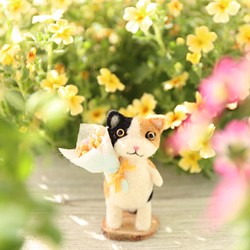 貓的花園花束 Mike-chan 第1張的照片