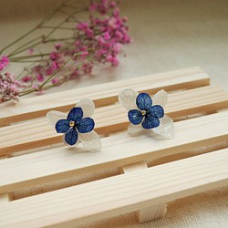 氣質花朵-繡球花/紫陽花不凋花UV膠耳環-雙朵藍白(可改夾式) 第1張的照片