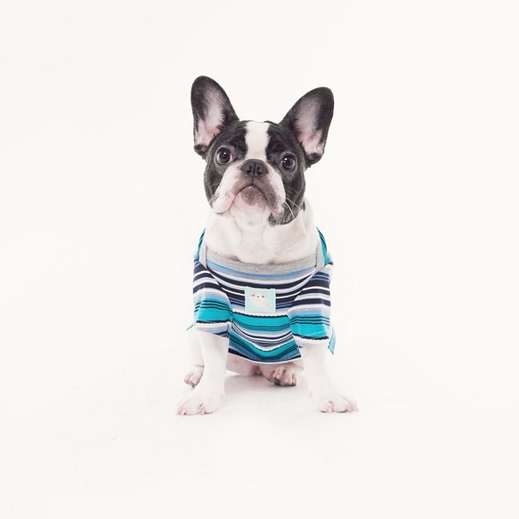 小さなオタクのストライプジャカードトップ - 花灰メソッド闘牛牛脂肪犬の服ペット服の犬の服 1枚目の画像