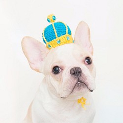 童話小國王 寵物 狗狗 貓咪 手工編織訂製皇冠-土耳其藍 第1張的照片