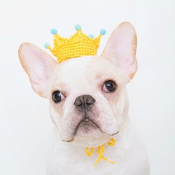 童話小王子 寵物 狗狗 貓咪 手工編織訂製皇冠 第1張的照片