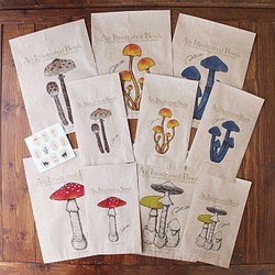 ●蘑菇繪本系列2●古董蘑菇繪本包裝袋 第1張的照片