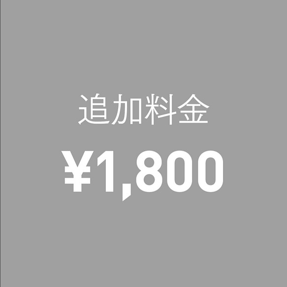 追加料金 ¥1800 1枚目の画像