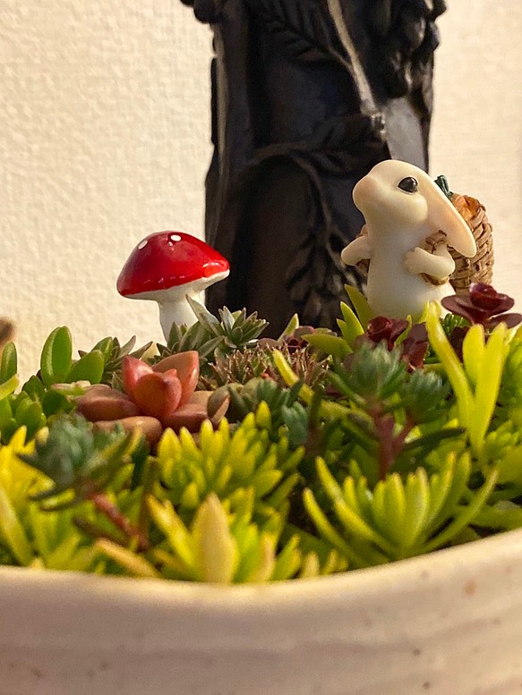 ゾクゾク感❣️ジオラマ多肉 多肉植物 セダム 寄せ植え うさぎフィギュア 植木鉢付き 開運グッズ クリスマス 1枚目の画像