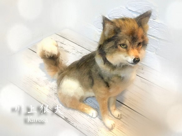 狼 狼犬 川上犬 ウルフドッグ 羊毛フェルト アートドール 羊毛フェルト Karosa Co 通販 Creema クリーマ ハンドメイド 手作り クラフト作品の販売サイト