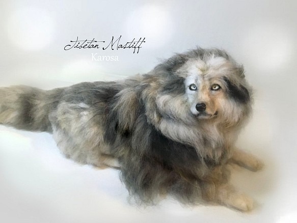 チベタンマスティフ 東方神犬 大型犬 最古 犬 羊毛フェルト - 羊毛フェルト