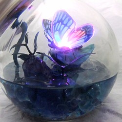 夜光蝶のランプ～七色の羽～ 1枚目の画像