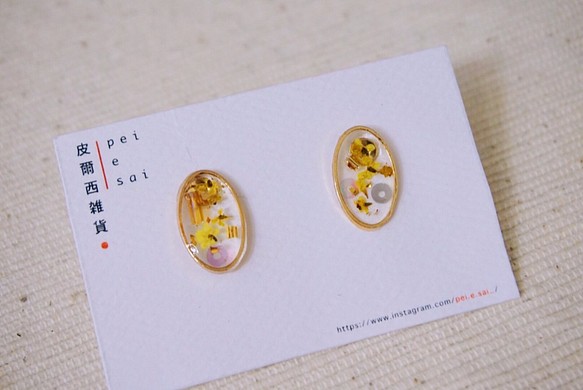 皮爾西雑貨 ピアス － 透明感們 、* 小巧の橢圓 䁔色系 耳釘 耳環 第1張的照片
