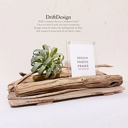 ～Drift Design～　味わい流木と造花のお洒落な組み合わせ写真立て　フォトスタンド　インテリア 1枚目の画像