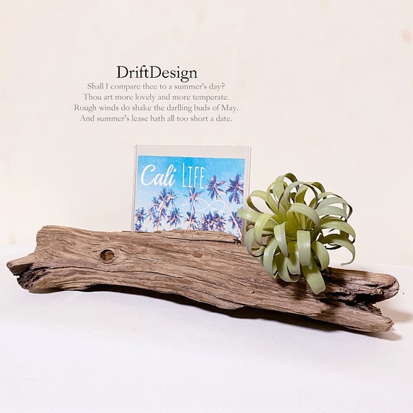 Drift Design〜 キレイめ流木と造花のお洒落なデザインスマホスタンド-