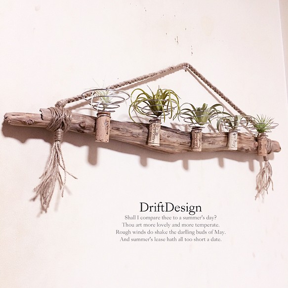 Drift Design～ 味わい檜流木のお洒落な多用途５連コルクホルダー エア