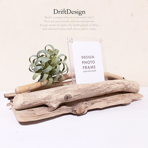 Drift Design〜 味わい流木と造花のお洒落なデザインフォトスタンド-