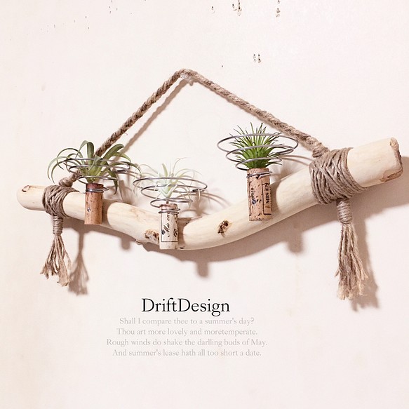 Drift Design〜 キレイめ流木のお洒落な多用途３連コルクホルダー エア