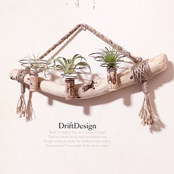 Drift Design〜 味わい綺麗め流木のお洒落な多用途３連コルクホルダー