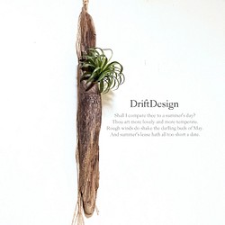 ～Drift Design～　流木と造花のお洒落な壁掛けインテリア　カリフォルニアスタイル　ロンハーマン　男前インテリア 1枚目の画像