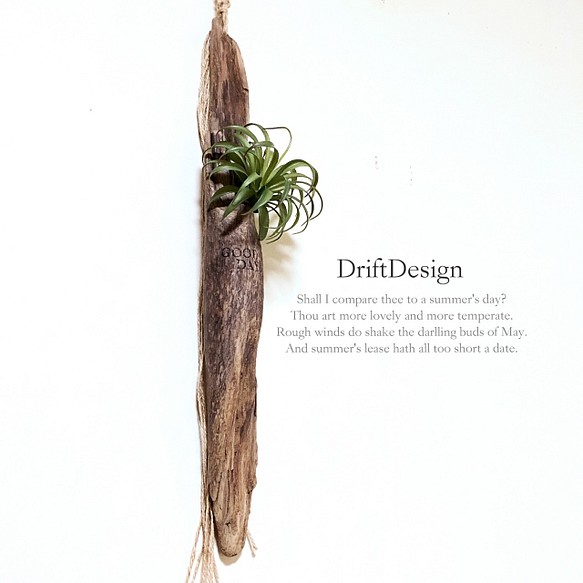 ～Drift Design～　流木と造花のお洒落な壁掛けインテリア　カリフォルニアスタイル　ロンハーマン　男前インテリア 1枚目の画像