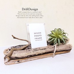 ～Drift Design～　流木と造花のお洒落な写真立て　ロンハーマン　フォトスタンド　インテリア 1枚目の画像