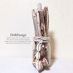 ～Drift Design～　流木と貝殻のお洒落な瓶飾り　ロンハーマン　西海岸　置物　オブジェ　インテリア 1枚目の画像