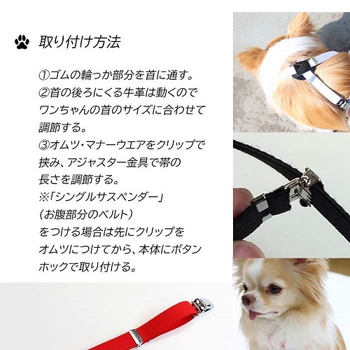 ネコポス発送で送料無料 犬 サスペンダー 小型犬用 ドット ゴム 牛革 Nomura 日本製 可愛いパッケージ ペット服 アクセサリー サスペンダーのnomura 通販 Creema クリーマ ハンドメイド 手作り クラフト作品の販売サイト