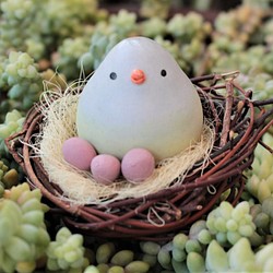 さくら色の卵を抱く小鳥（４） 1枚目の画像