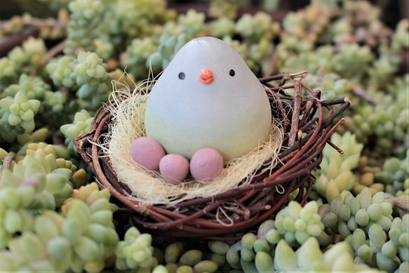 さくら色の卵を抱く小鳥（４） 1枚目の画像