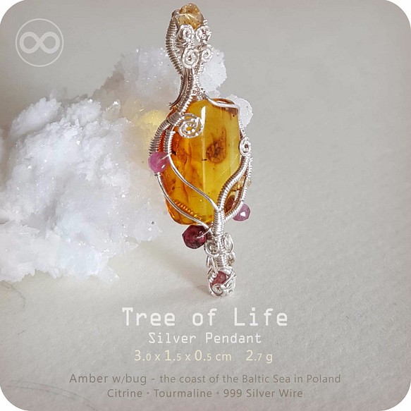 H59 Baltic Amber - Tree of Life  Silver Pendant 第1張的照片