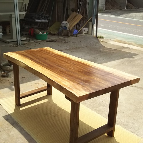 大阪正規品 ◉天然木板 クスノキ　天板/板/台　149 (249) カウンターテーブル