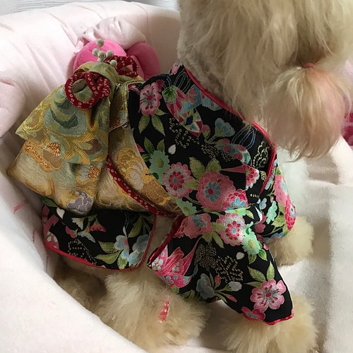 本格仕立て着物 犬服オーダー ペット服・アクセサリー まこまま 通販