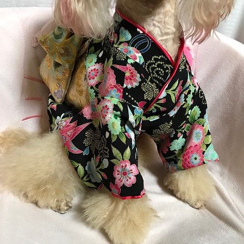 本格仕立て着物 犬服オーダー ペット服・アクセサリー まこまま 通販