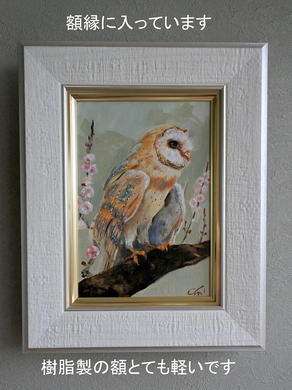 版画 barn owl 面梟 メンフクロウ ふくろう フクロウ 桜 水性 木