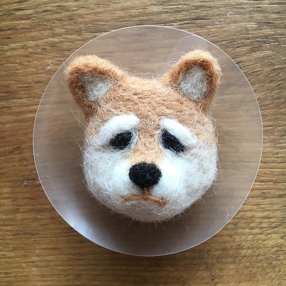 【受注製作】羊毛フェルトブローチ - 柴犬・エリザベスカラー 1枚目の画像